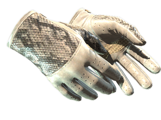 ★ Driver Gloves | King Snake
